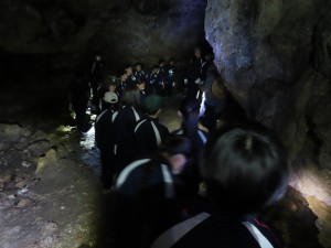 IMG_1410